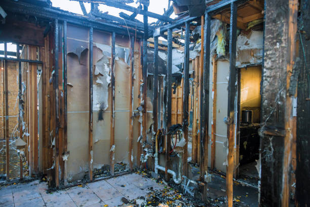 Professional Fire Damage Removal technician working in Somerset, MD